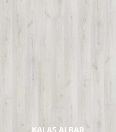 Kalas albar | CarpiMarket